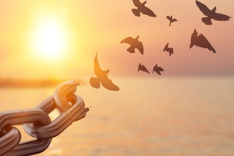 Nine birds flying away from large, broken chains into a golden sunrise