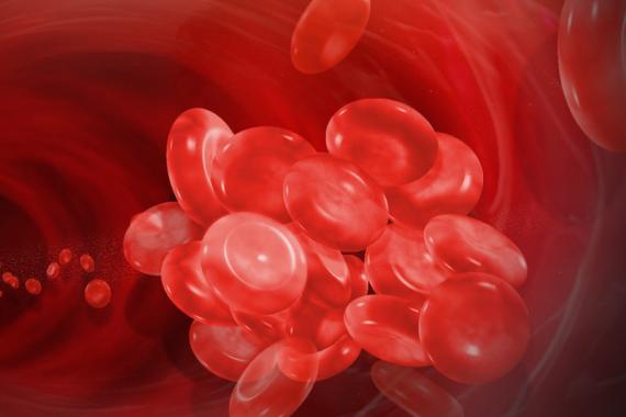 A drawing of blood cells in an artery. Cells in the background are in a row. The foreground cells are clumped to depict a blood clot