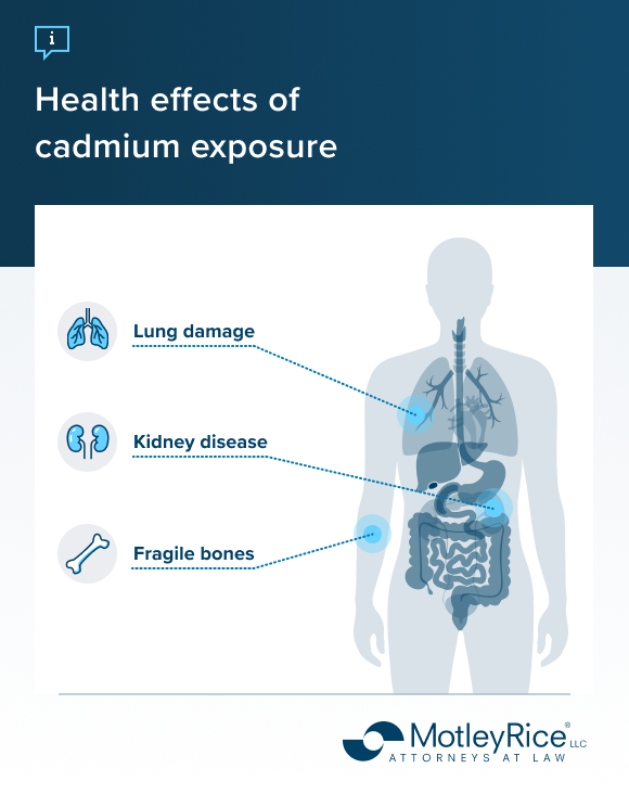 Illustrated human body with pulmonary and digestive systems shown on the right to outline health effects of cadmium exposure. Left side has labels for related symptoms: lung damage, kidney disease and fragile bones with accompanying icons.