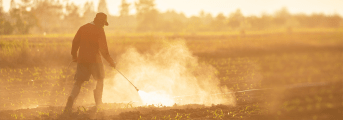 Pesticide Lawsuits